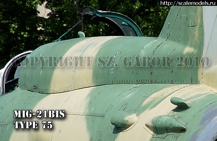1744444091_Comparison-5-bis.JPG : #1875105/ -21   72   
