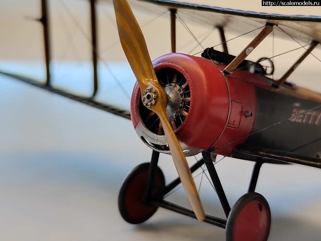 1744816100_IMG_20250416_133849.jpg : #1875882/ Sopwith pup 1/48 Flashback !  