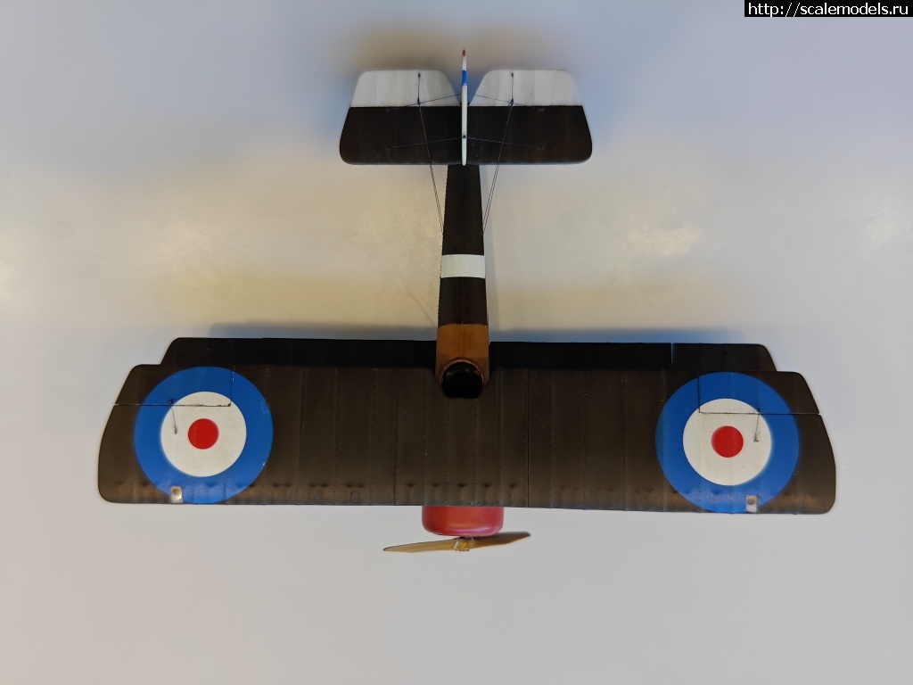 1744816114_IMG_20250416_134422.jpg : #1875882/ Sopwith pup 1/48 Flashback !  