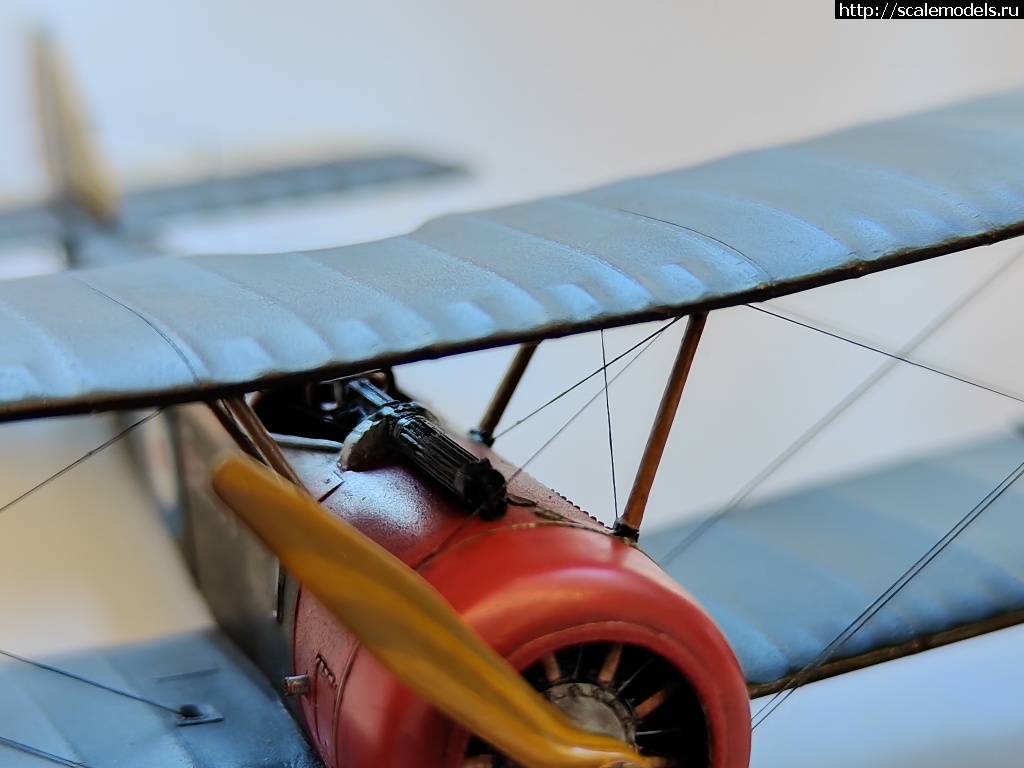 1744816137_IMG_20250416_134605.jpg : #1875882/ Sopwith pup 1/48 Flashback !  
