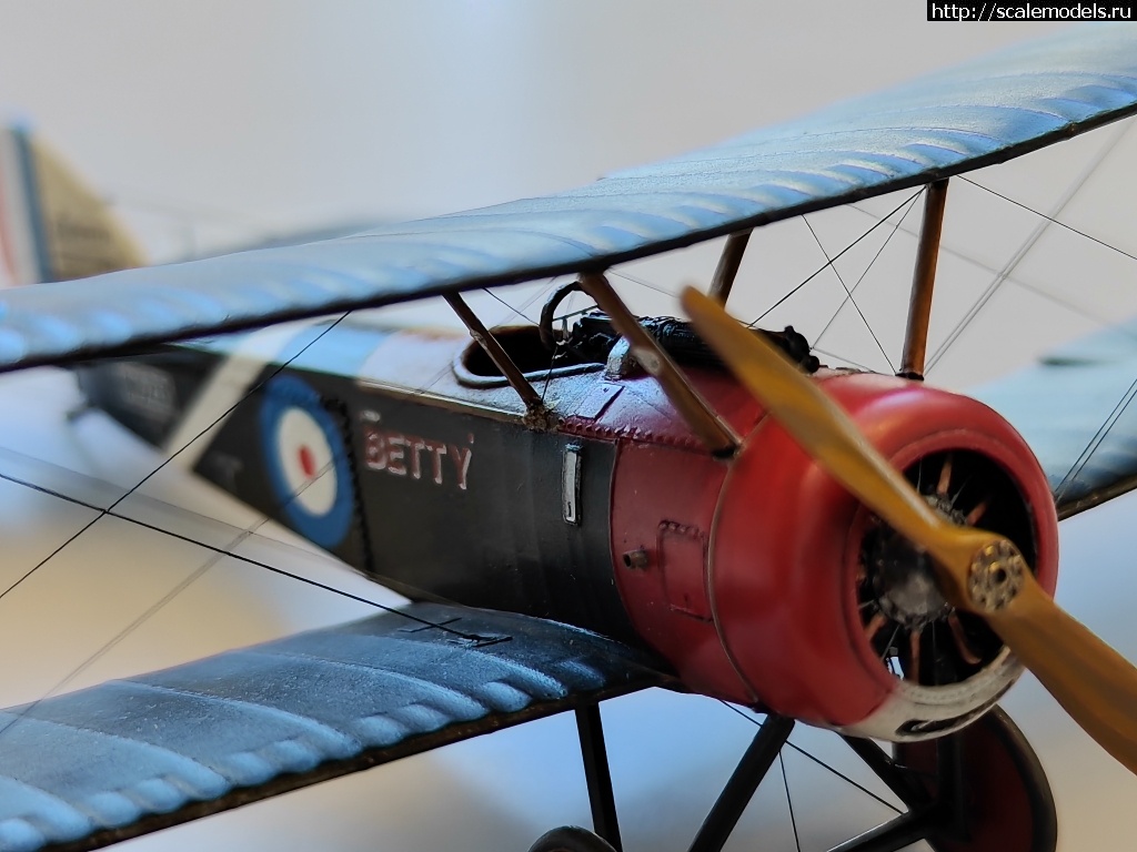 1744816140_IMG_20250416_134620.jpg : #1875882/ Sopwith pup 1/48 Flashback !  