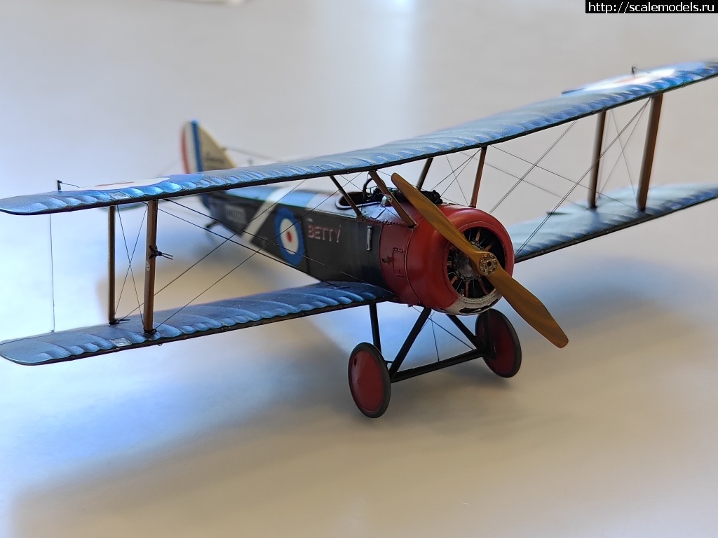 1744816142_IMG_20250416_134630.jpg : #1875882/ Sopwith pup 1/48 Flashback !  