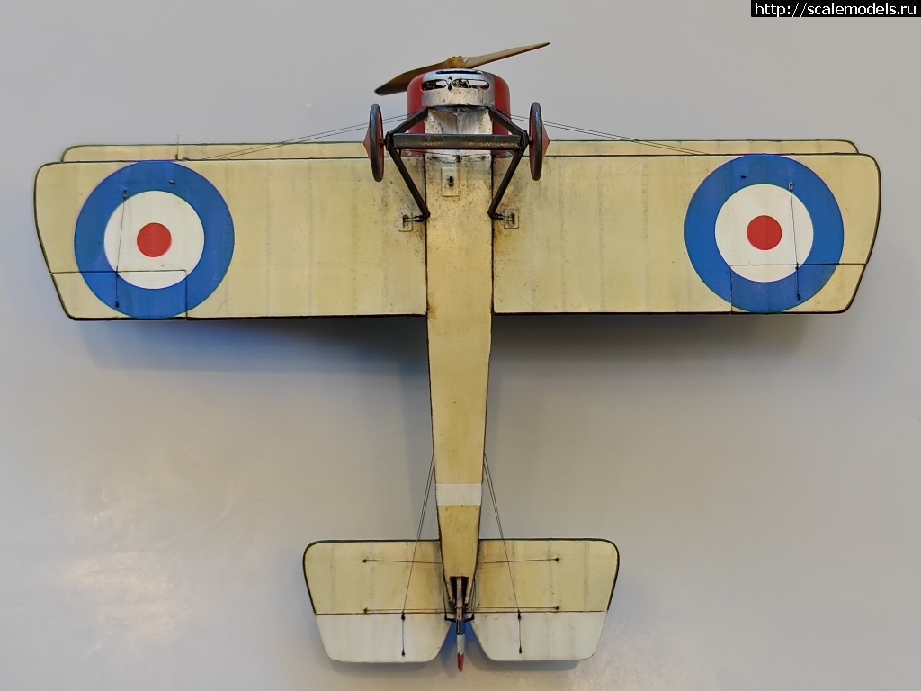 1744816147_IMG_20250416_134734.jpg : #1875882/ Sopwith pup 1/48 Flashback !  