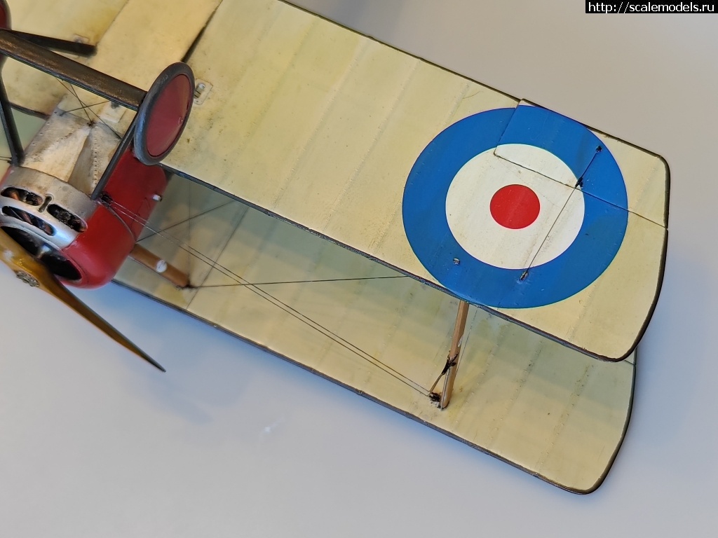 1744816162_IMG_20250416_134841.jpg : #1875882/ Sopwith pup 1/48 Flashback !  