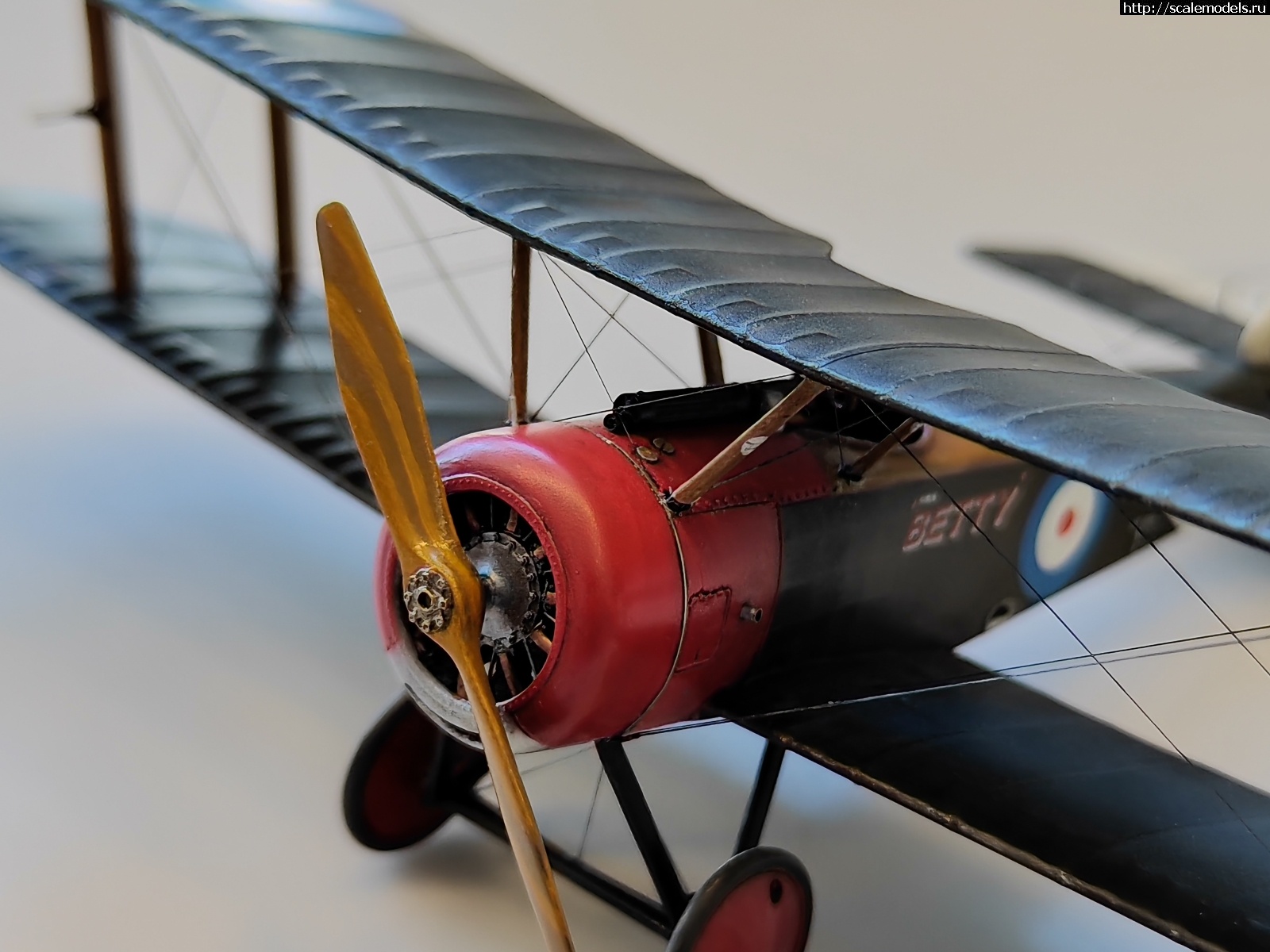 1747345825_IMG_20250416_133911.jpg : #1879427/ Sopwith pup 1/48 Flashback !  