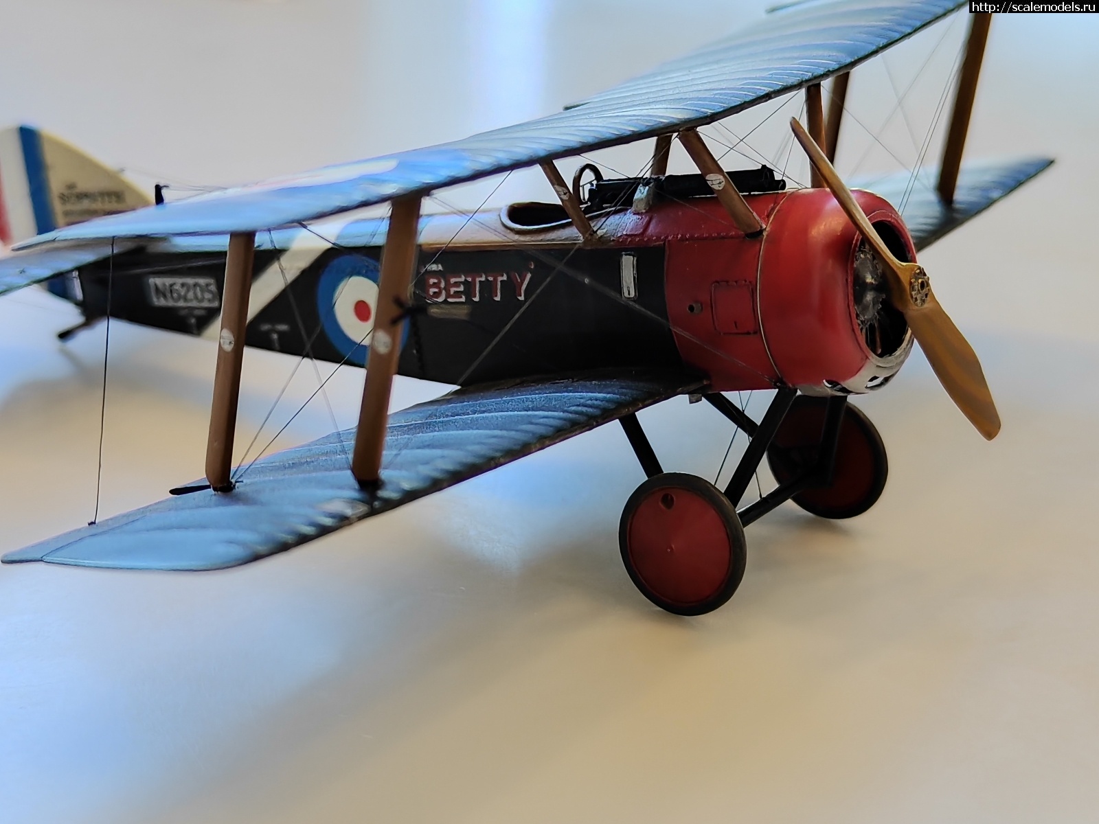1747345850_IMG_20250416_134541.jpg : #1879427/ Sopwith pup 1/48 Flashback !  