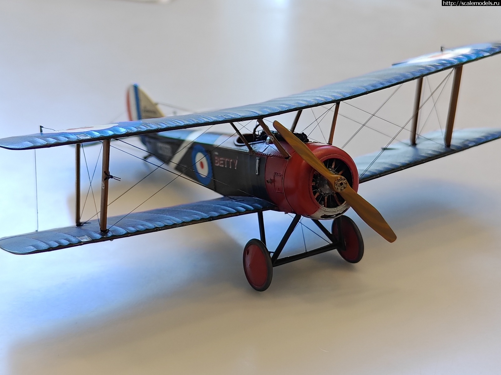 1747345855_IMG_20250416_134630.jpg : #1879427/ Sopwith pup 1/48 Flashback !  