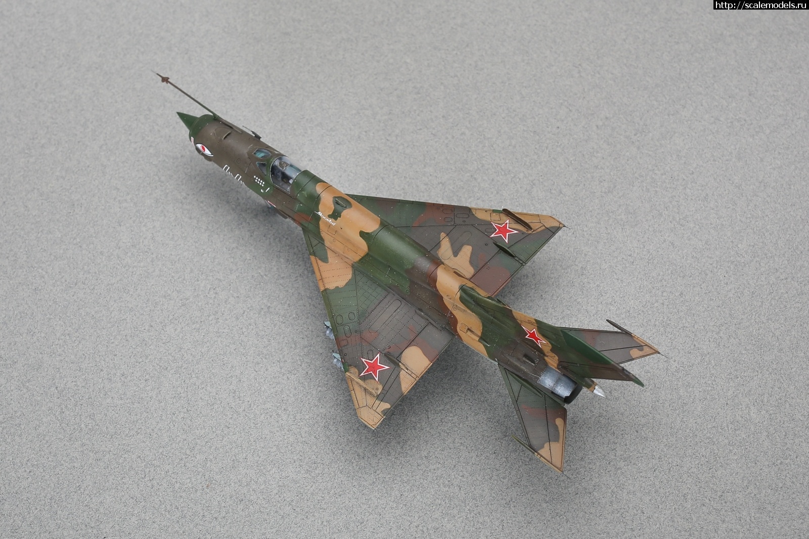 1747426750_235B9993.jpg :  Group Build:  -9 -21   72  