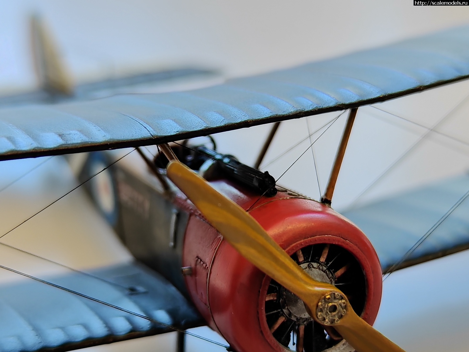 1747601737_4.jpg :   -6   1/48  
