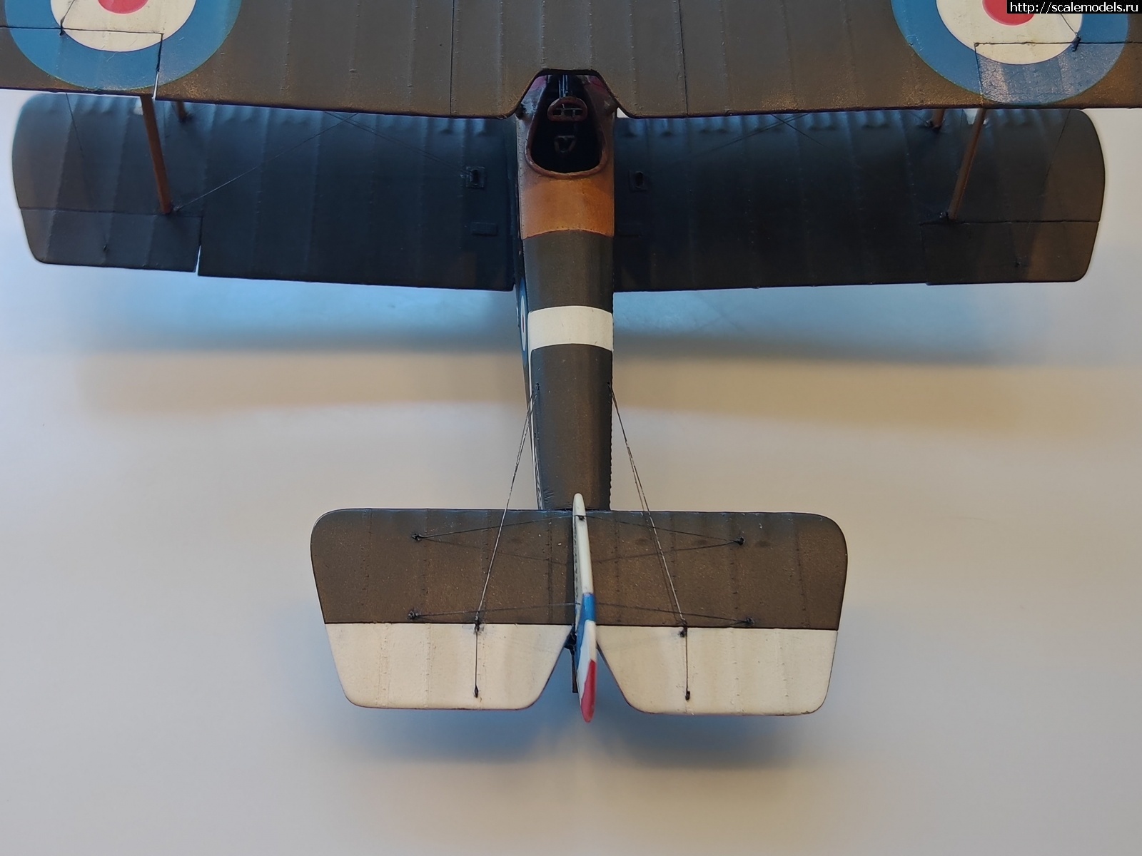 1747601738_6.jpg :   -6   1/48  