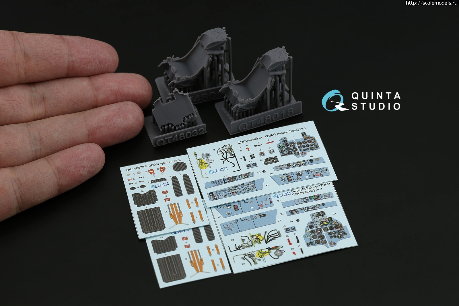 1749122597_1.jpg :   Quinta Studio  