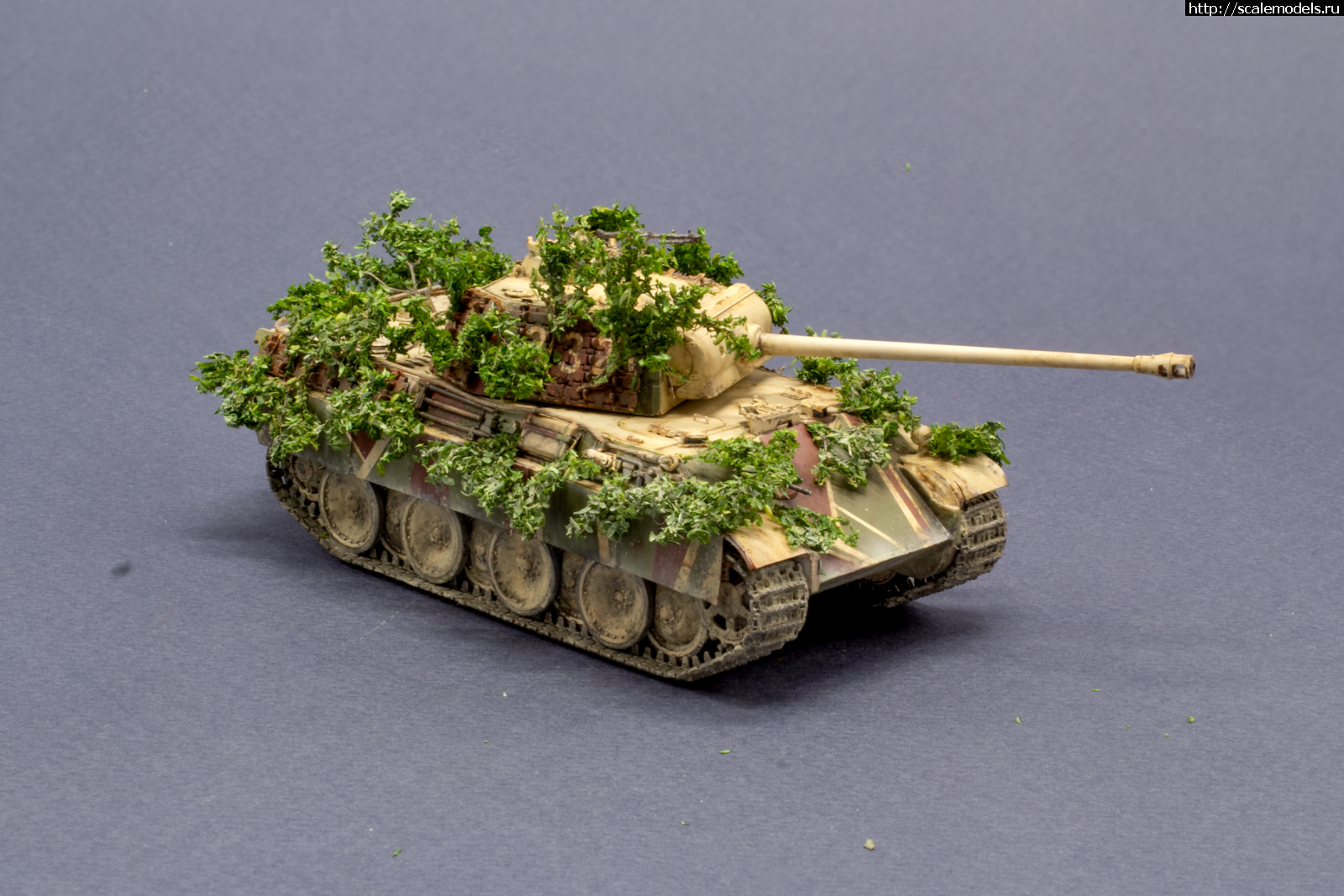 1749468086_1741718303_2025-03-10-IMG-0620.png : G. Build: ����������-25 ����������� ������� ����