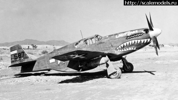 1749701081_IMG_0886.jpeg : #1882423/ P-51B Mustang 1/48 Eduard  
