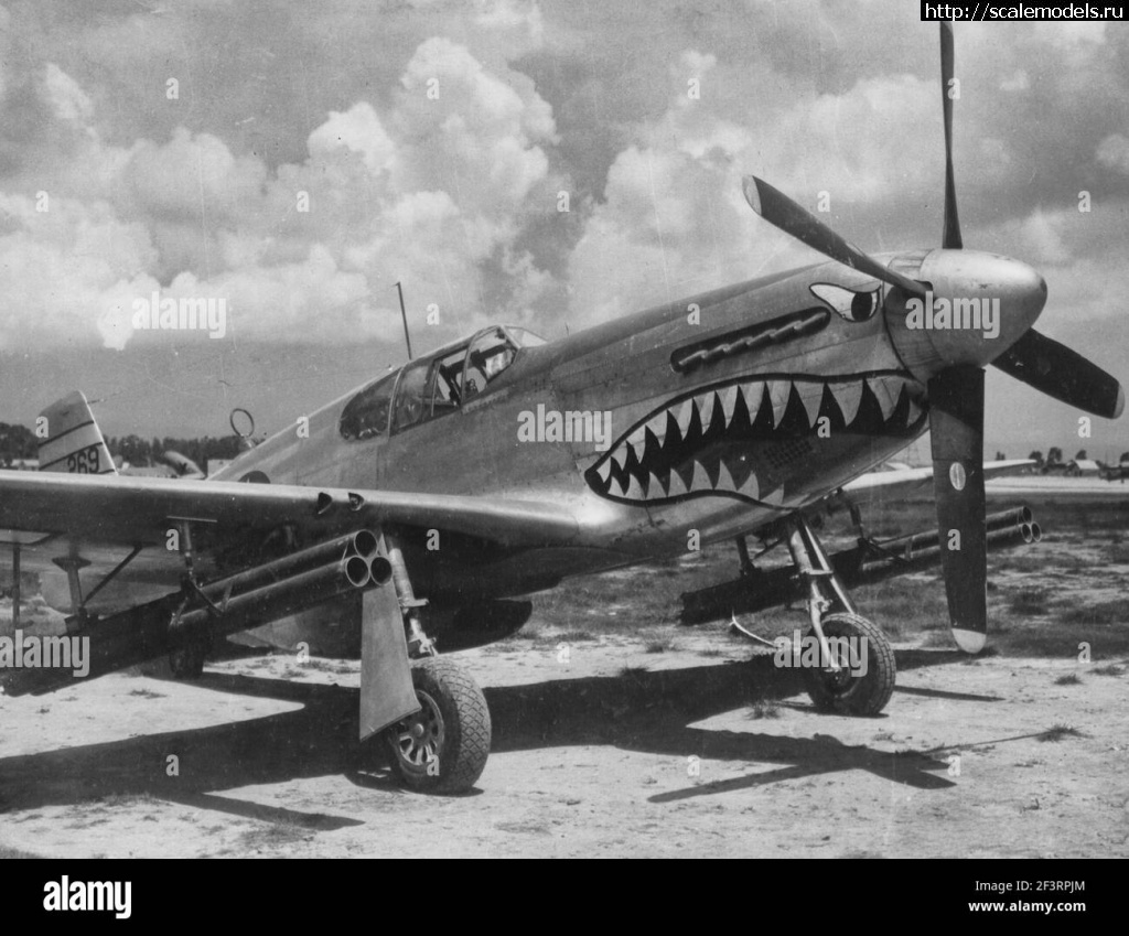 1749701082_IMG_0883.jpeg : #1882423/ P-51B Mustang 1/48 Eduard  