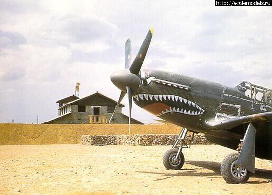 1749701085_IMG_0889.jpeg : #1882423/ P-51B Mustang 1/48 Eduard  