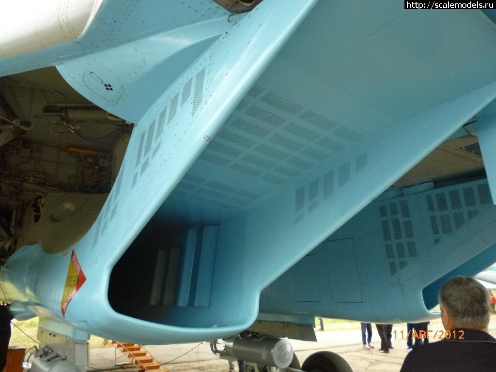 1751162363_1352745783_P1000947.jpg :  ������� ����