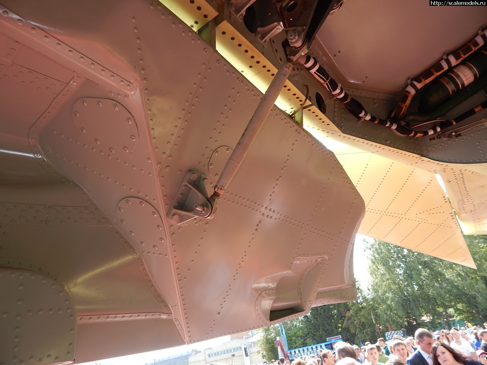 1751162371_DSCN0899.JPG :   