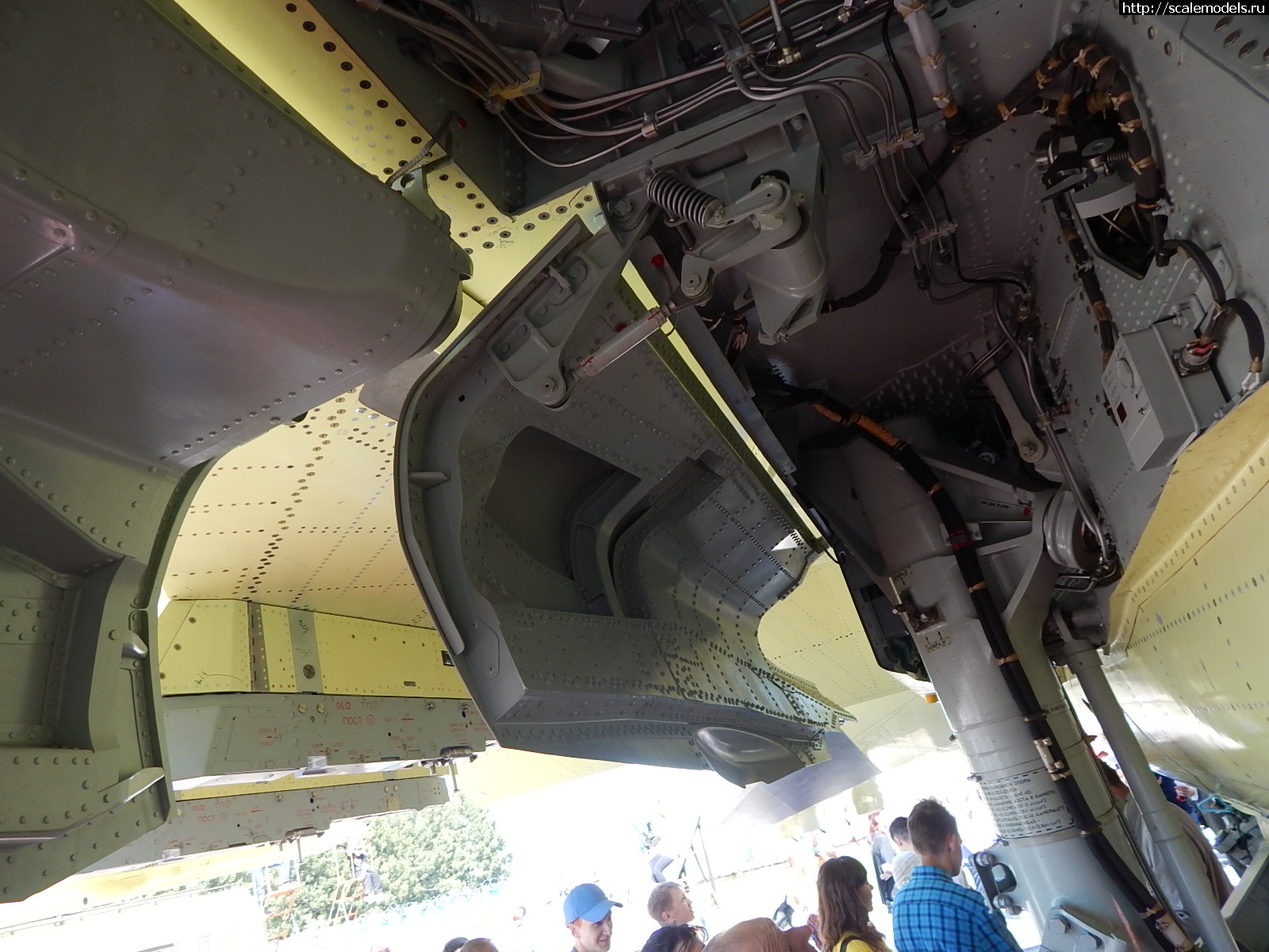 1751162431_DSCN1007.JPG :  ������� ����