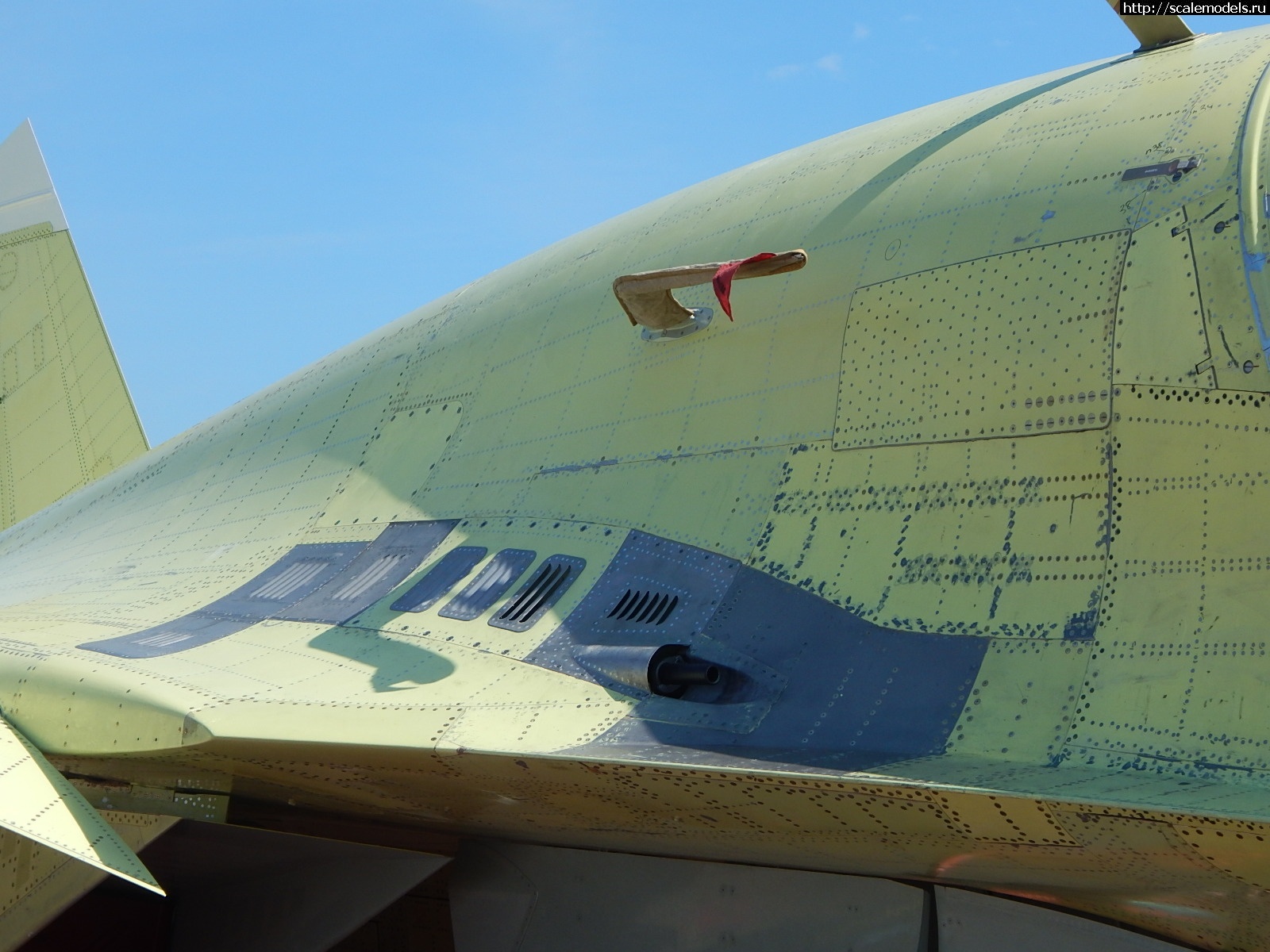 1751162440_DSCN1027.JPG :  ������� ����