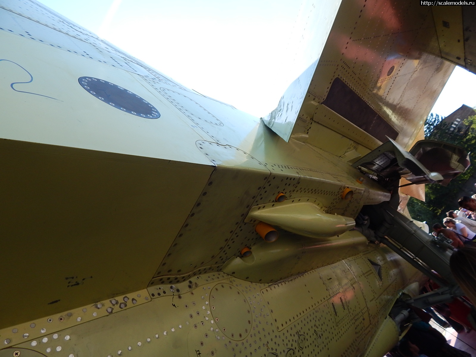 1751162444_DSCN1036.JPG :  ������� ����