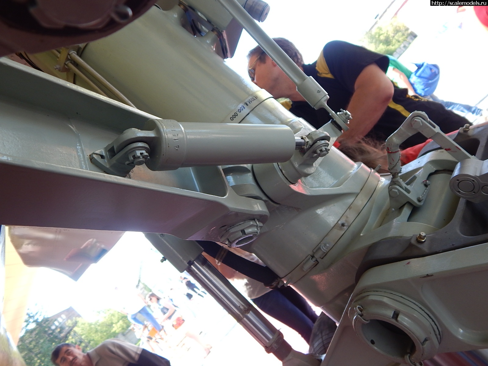 1751162447_DSCN1041.JPG :  ������� ����