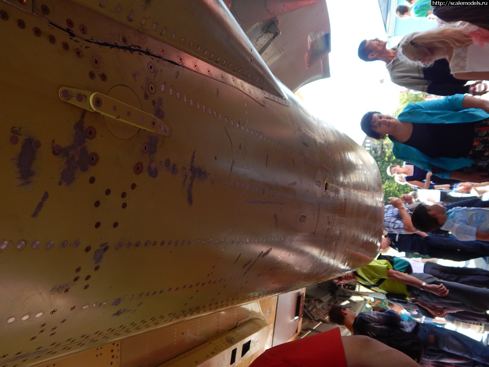 1751162447_DSCN1042.JPG :  ������� ����