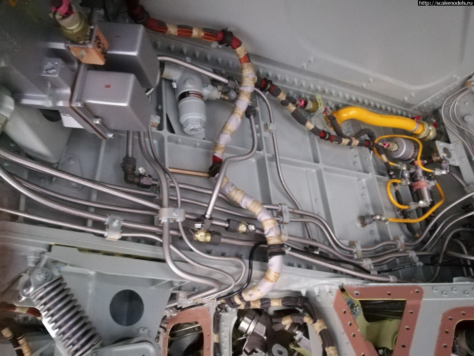 1751162474_IMG_20170608_074850.jpg :  ������� ����