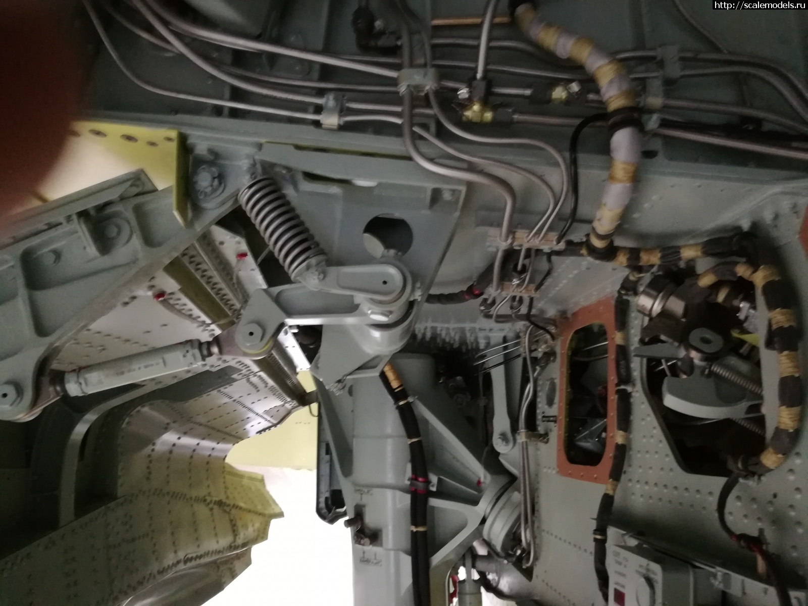 1751162482_IMG_20170608_074907.jpg :  ������� ����