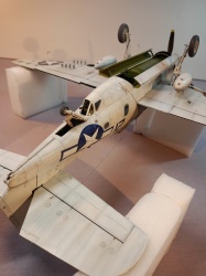 Trumpeter 1/32 TBF-1c Avenger: 1750180285_IMG20250617125822.jpg