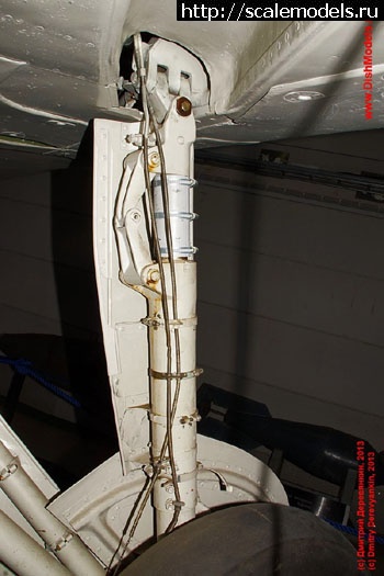 1751462862_leguti.jpg : #1884341/   -16  