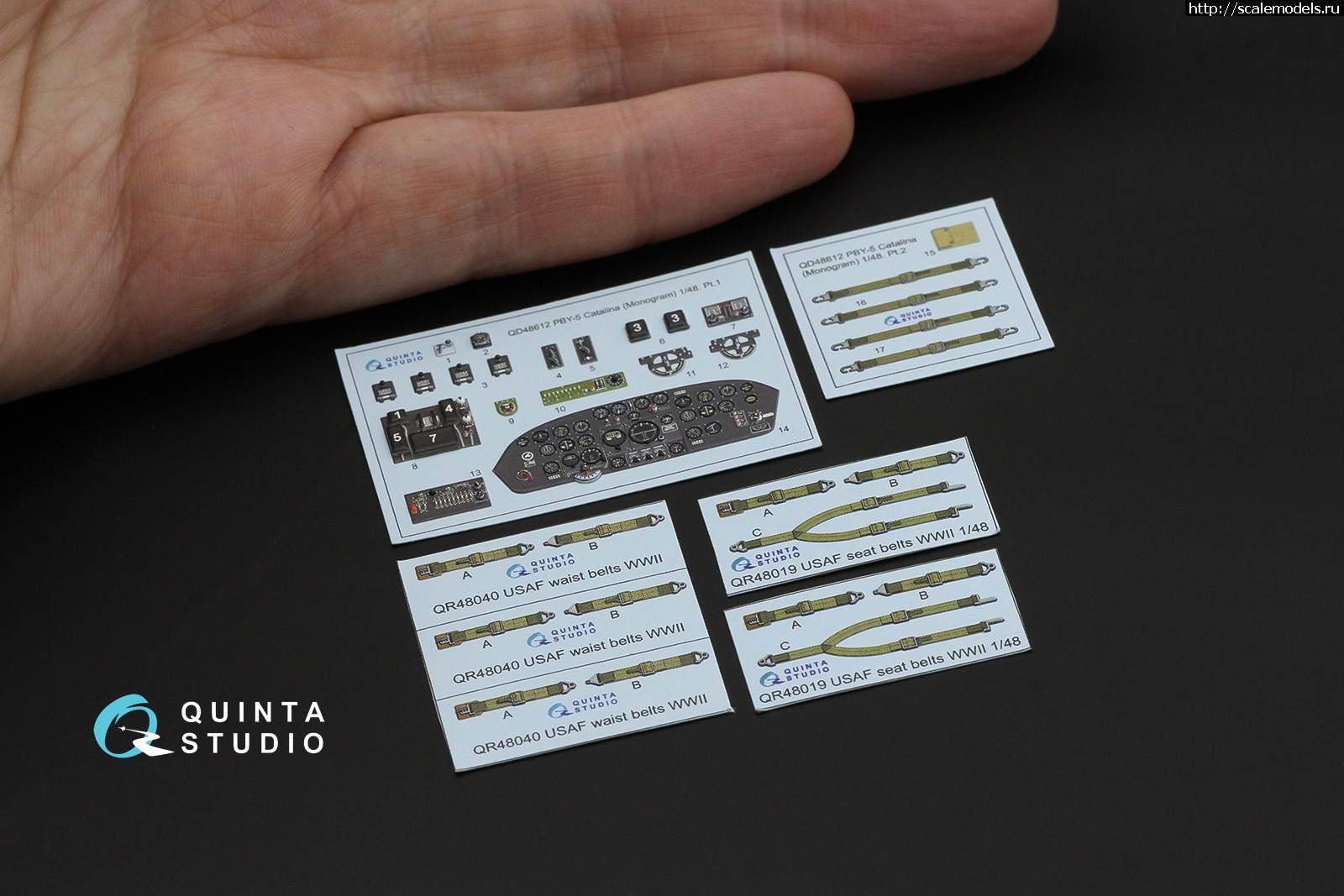 1751960855_8839.jpg :   Quinta Studio  