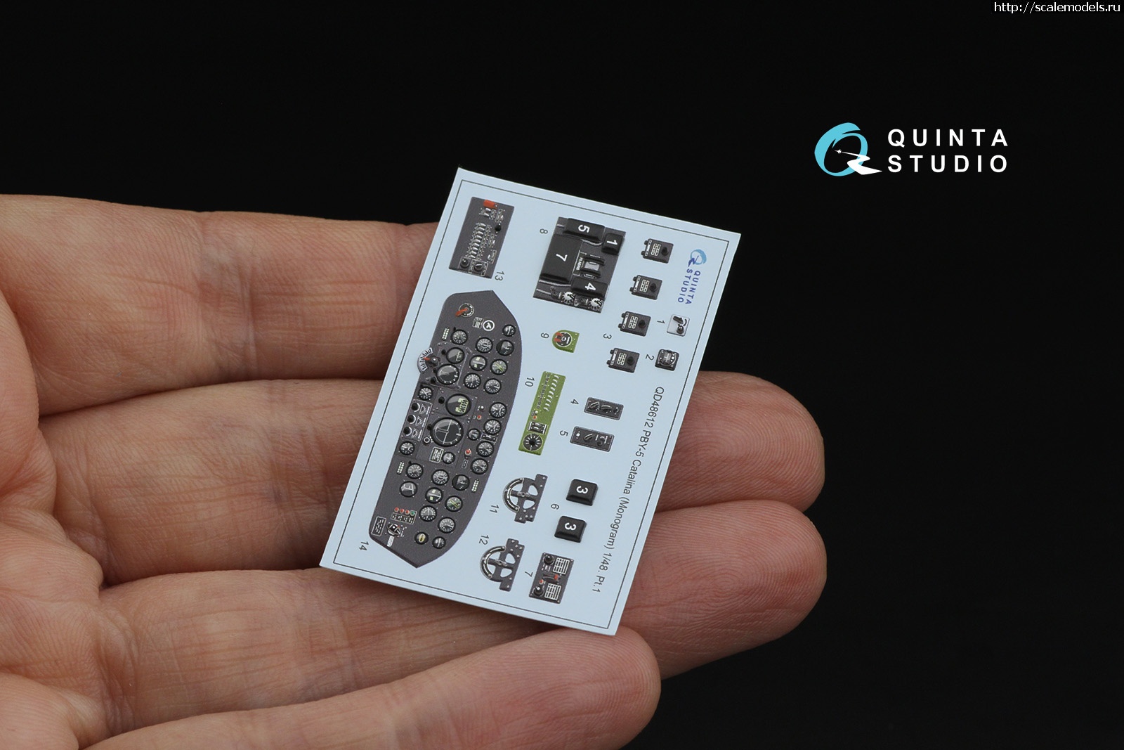 1751960856_8853.jpg :   Quinta Studio  