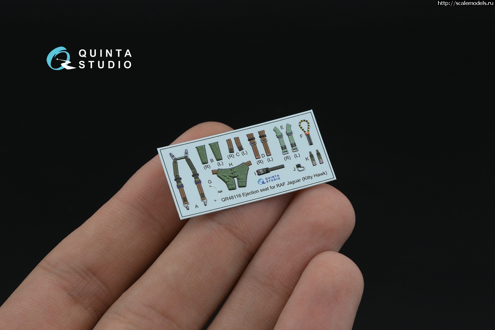 1751960964_7.jpg :   Quinta Studio  