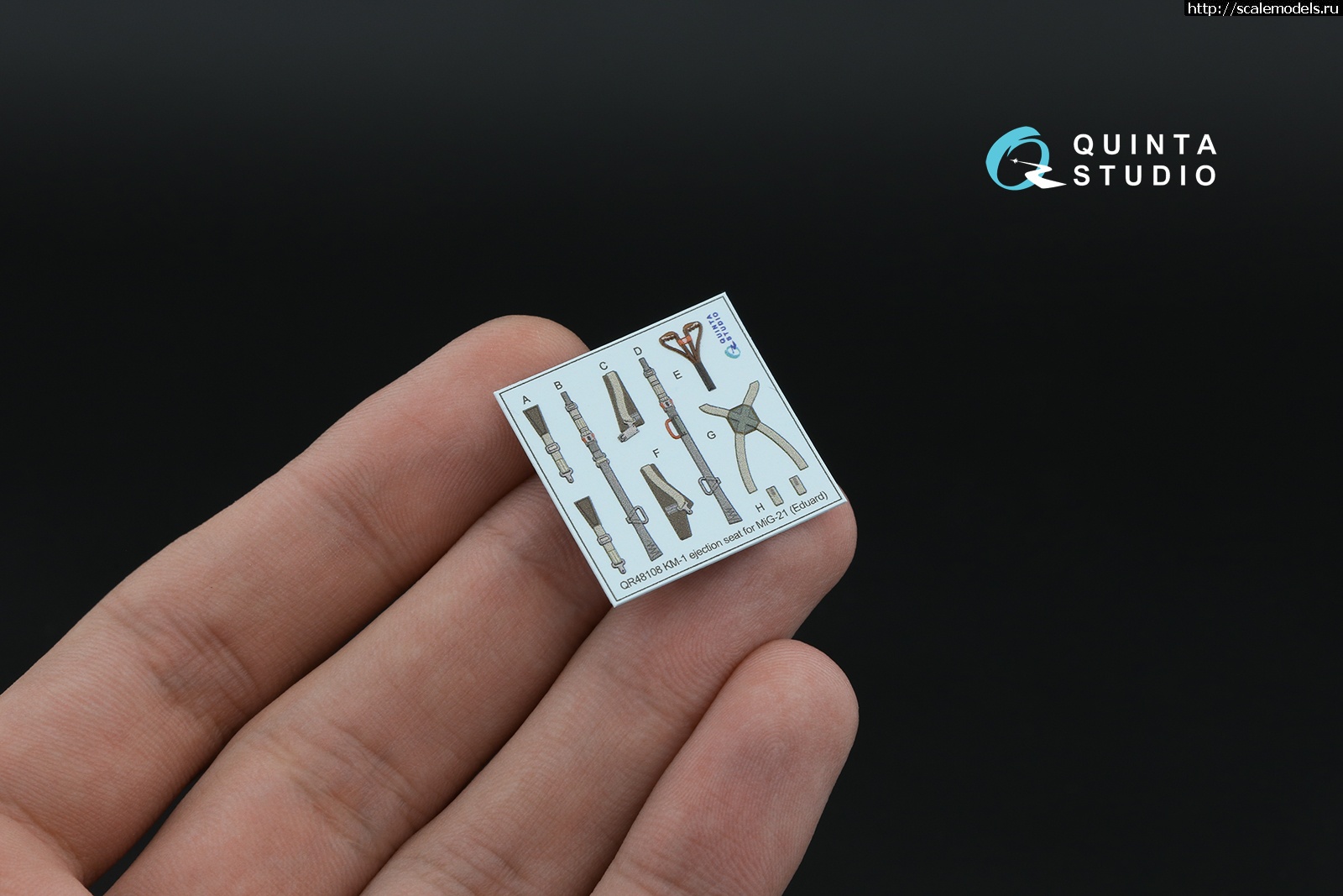 1751961331_8.jpg :   Quinta Studio  