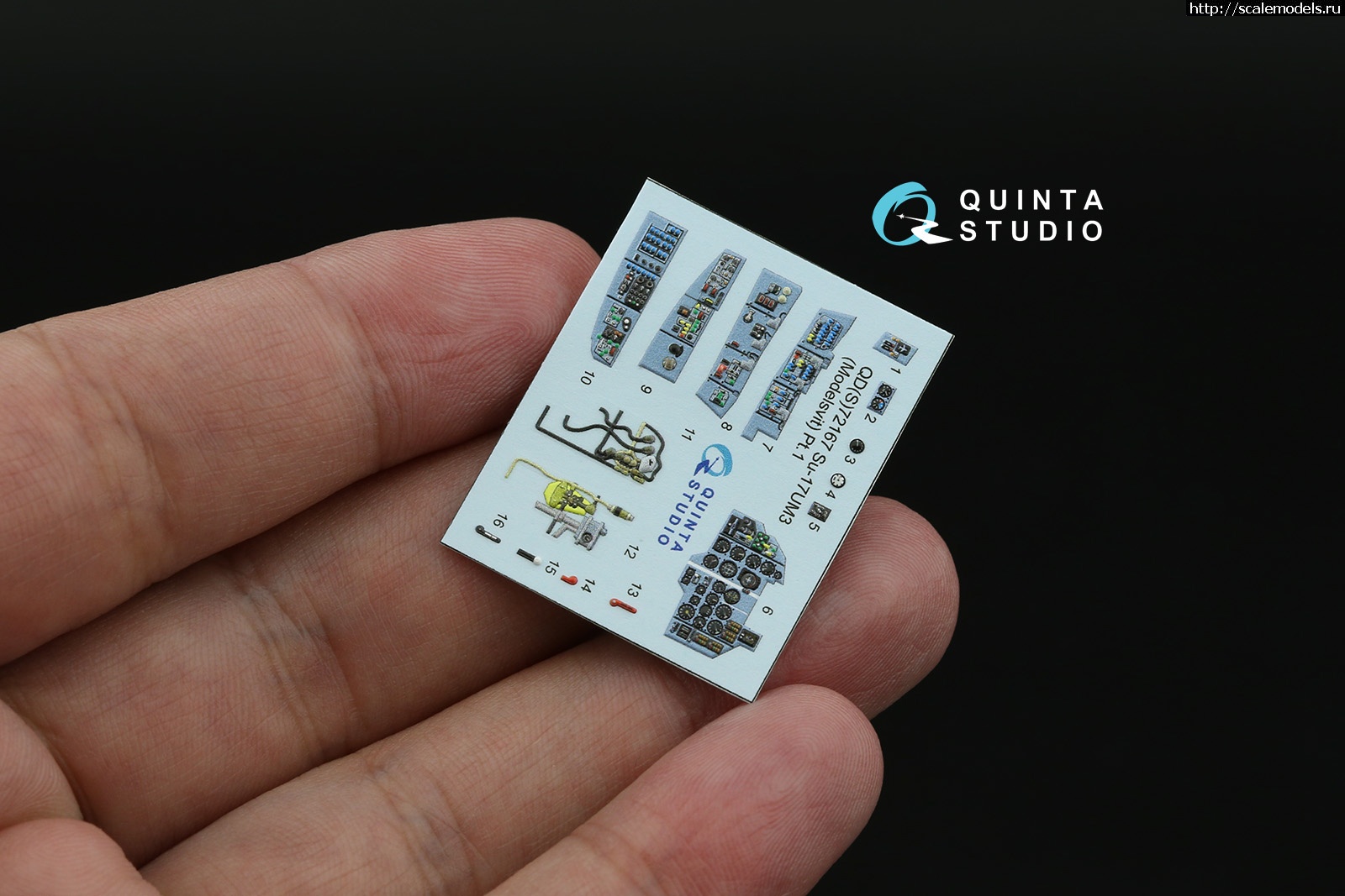 1751961658_3.jpg :   Quinta Studio  