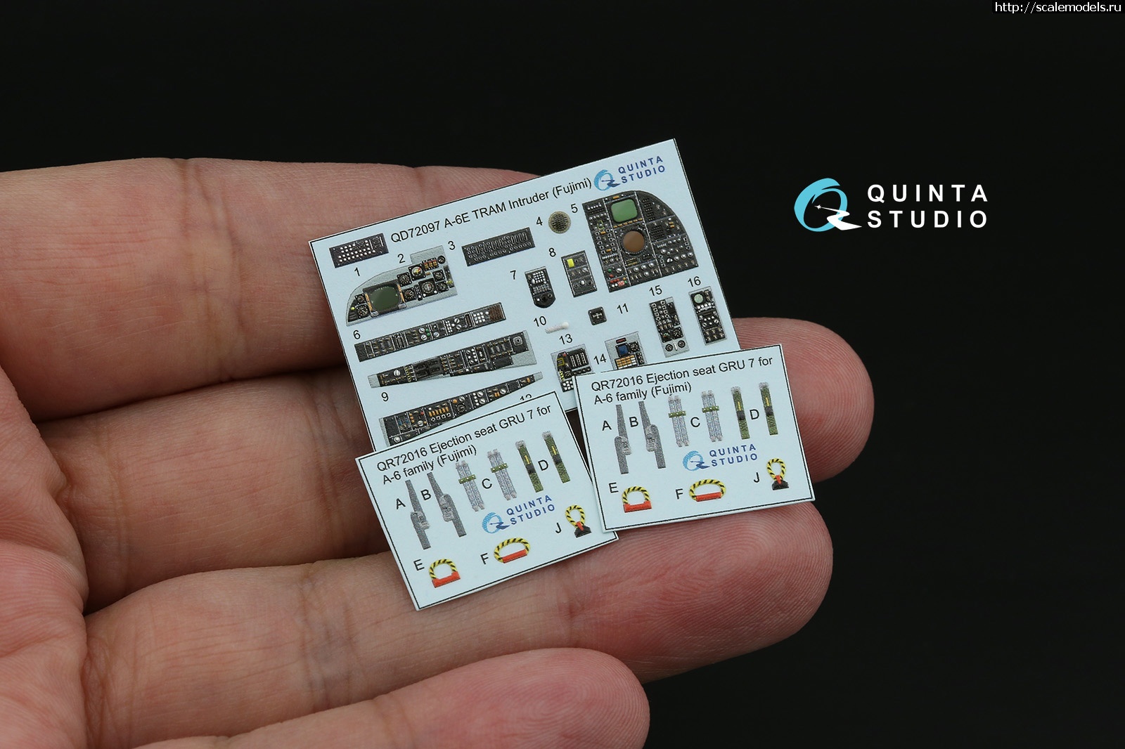 1751961765_1.jpg :   Quinta Studio  