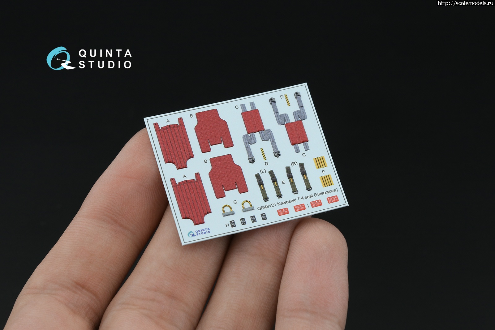 1751962084_7.jpg :   Quinta Studio  