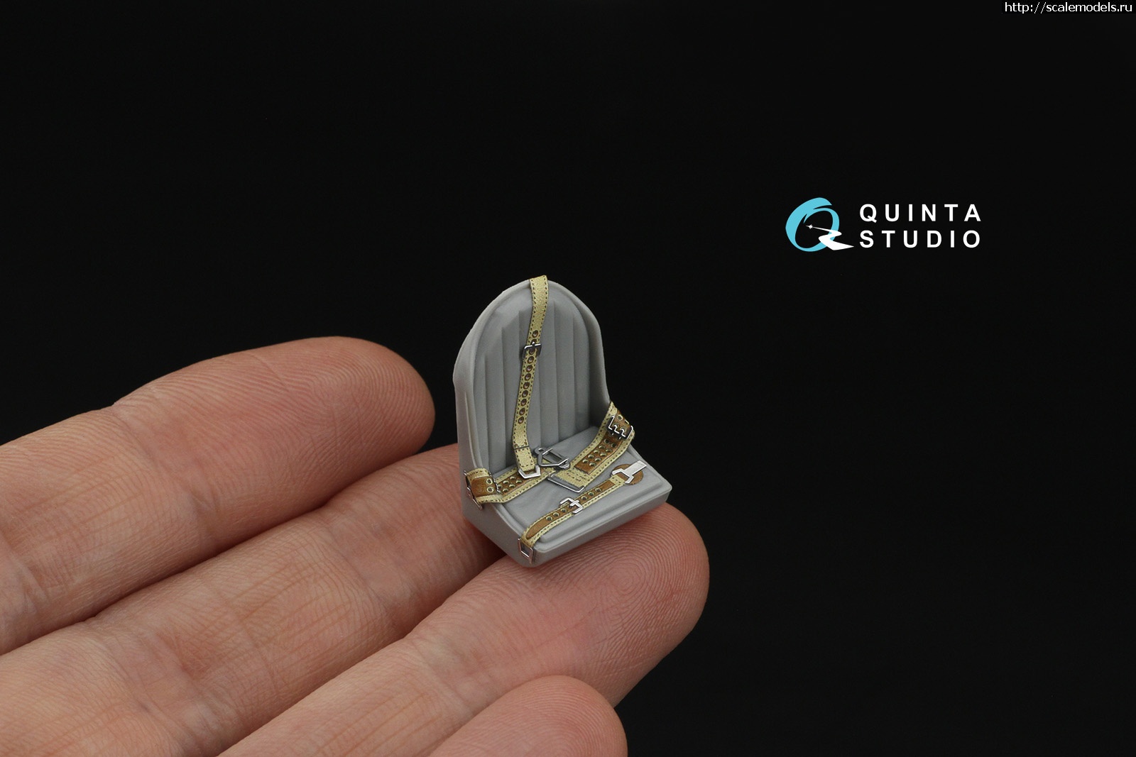 1751962717_8358.jpg :   Quinta Studio  