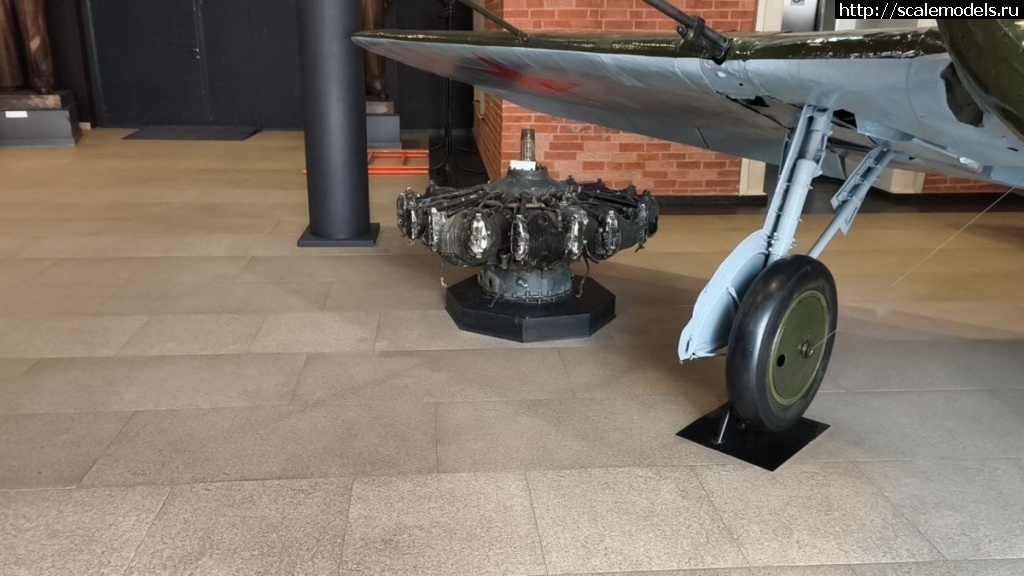 1753119135_IMG_20250721_202832_875.jpg : #1886262/   -16  