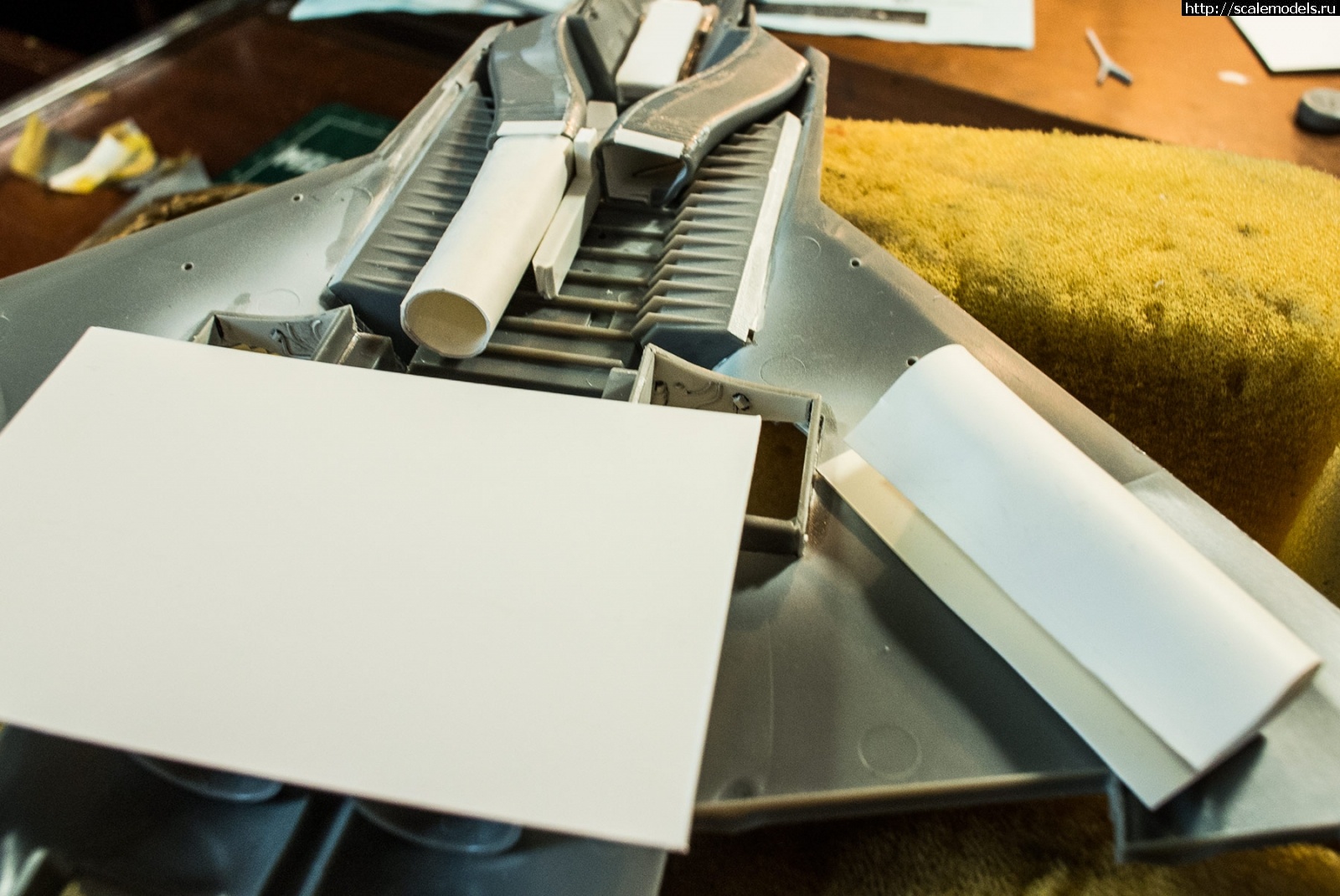 1753957284_DSC_6881.jpg : #1887078/ �������� ���������� �� ���� "��� ������� ���-��" ������� ����