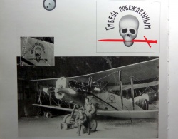 Roden 1/72 Bristol Fighter  , , 1921: 1751895972_1d.JPG