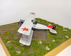 Roden 1/72 Bristol Fighter  , , 1921: 1751897310_21.JPG