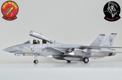 AMK 1/48 F-14D Super Tomcat: 1754585359_photo_1_1599707787.jpg