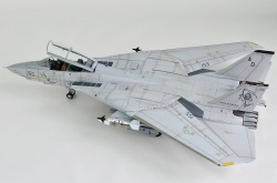 AMK 1/48 F-14D Super Tomcat: 1754585369_photo_2_1599713584.jpg