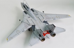 AMK 1/48 F-14D Super Tomcat: 1754585393_photo_5_1599713584.jpg