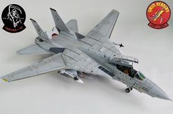 AMK 1/48 F-14D Super Tomcat: 1754585423_photo_9_1599713584.jpg