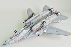 AMK 1/48 F-14D Super Tomcat: 1754585436_photo_11_1599713584.jpg