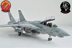 AMK 1/48 F-14D Super Tomcat: 1754585440_photo_12_1599707788.jpg