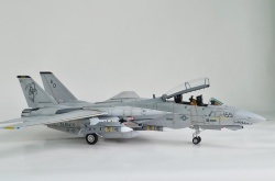 AMK 1/48 F-14D Super Tomcat: 1754585444_photo_13_1599707788.jpg