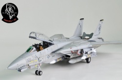 AMK 1/48 F-14D Super Tomcat: 1754585483_photo_19_1599707788.jpg